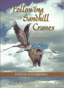 Following the Sandhill Cranes in Colorado