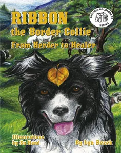 Ribbon the Border Collie