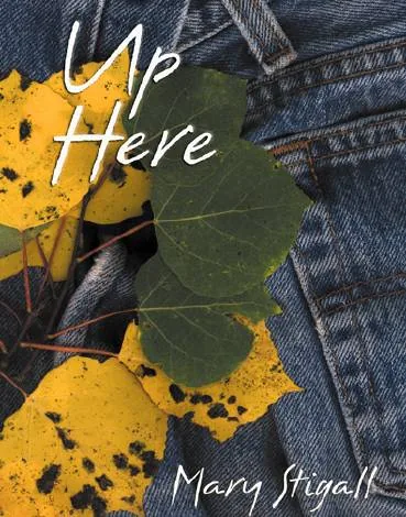 Cover of Up Here