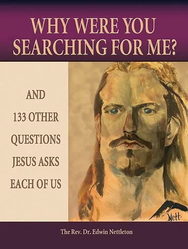 Cover of Why Were You Searching For Me?