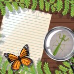How to Plant Clues in Mystery Writing